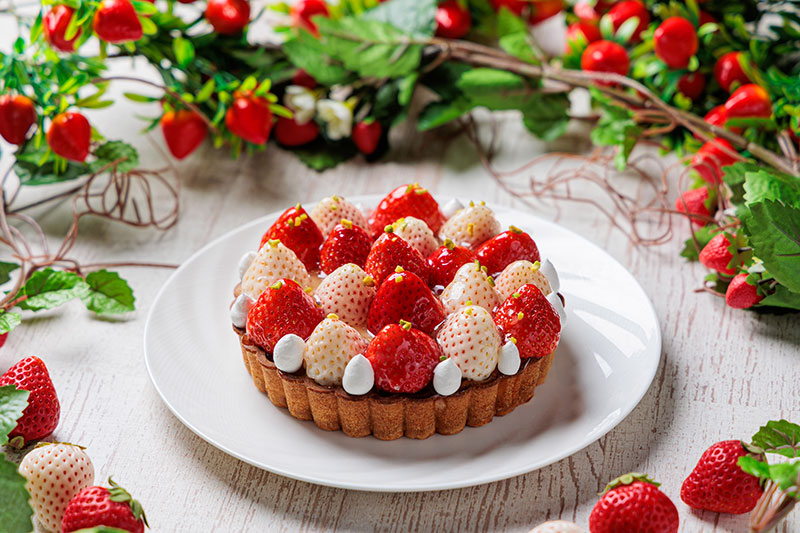 【期間限定】紅白いちごタルト(5号)
