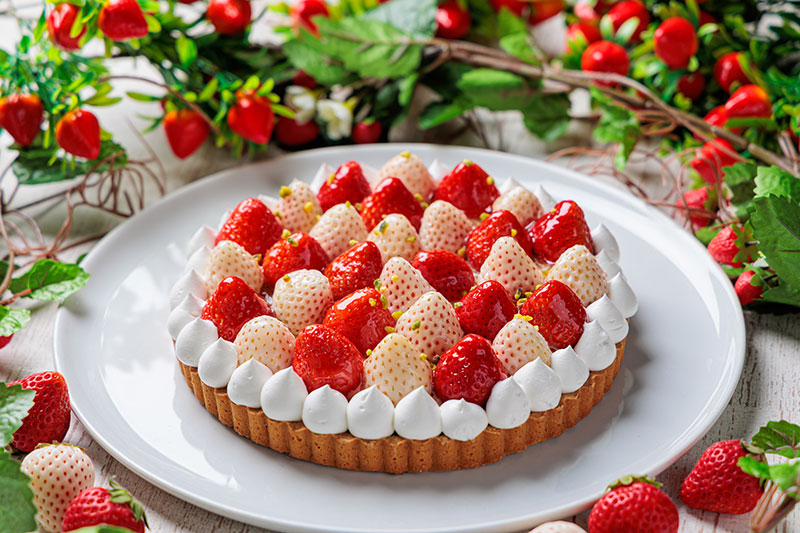 【期間限定】紅白いちごタルト(7号)