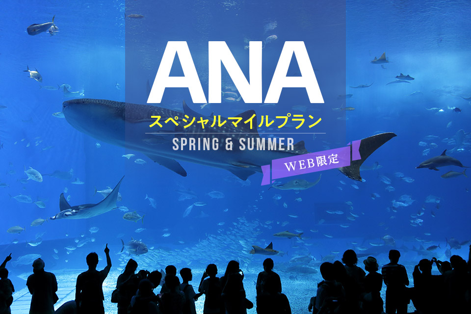 【2025　Spring & Summer　　AMCスペシャルマイルプラン（食事なし）】