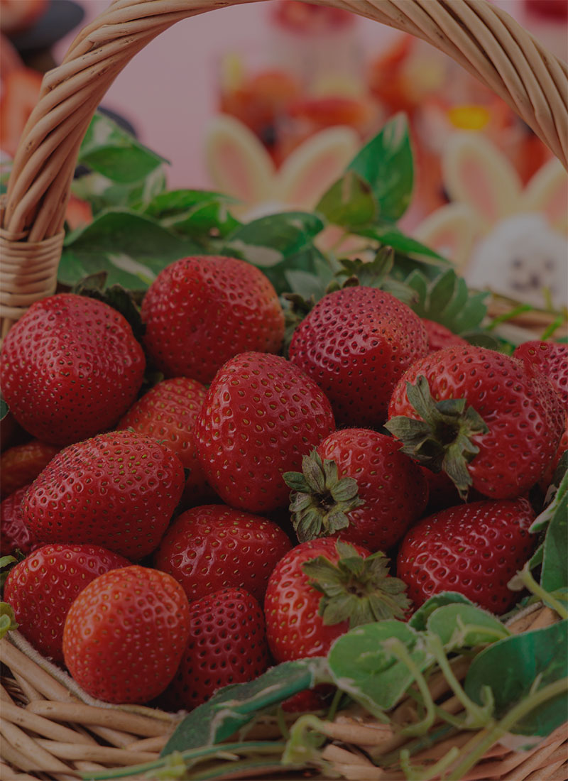 Strawberry Buffet 2026 will be held!